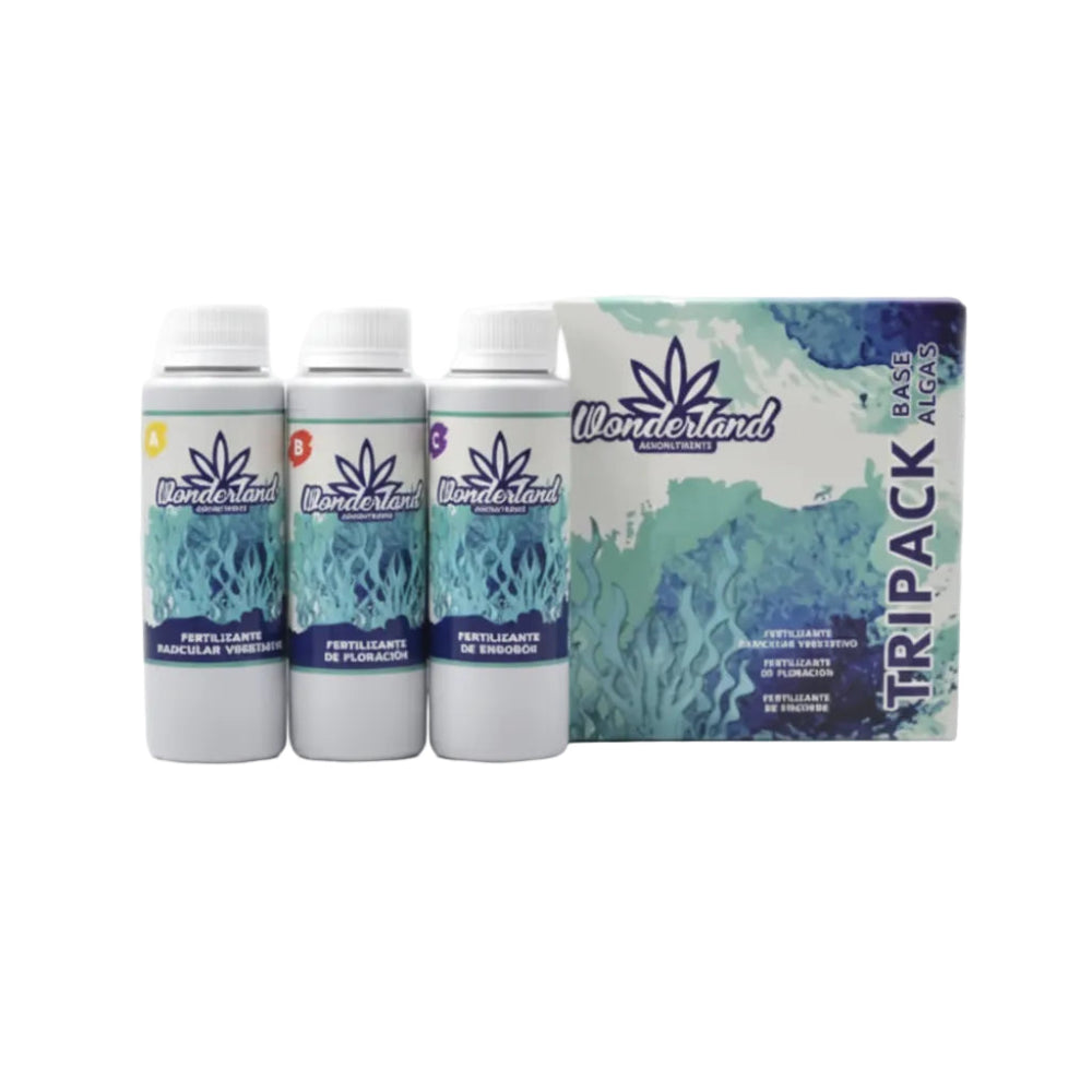 TRIPACK ORGANICO BASE ALGAS 250ML - WONDERLAND-2