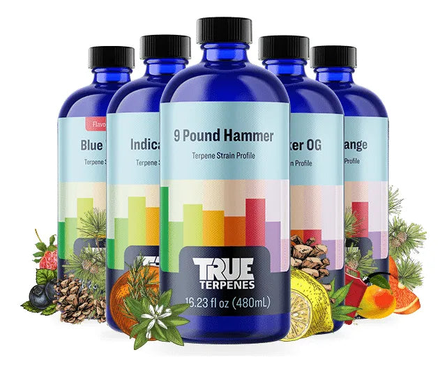 TERPENO WEDDING CAKE 30ML - TRUE TERPENES-3