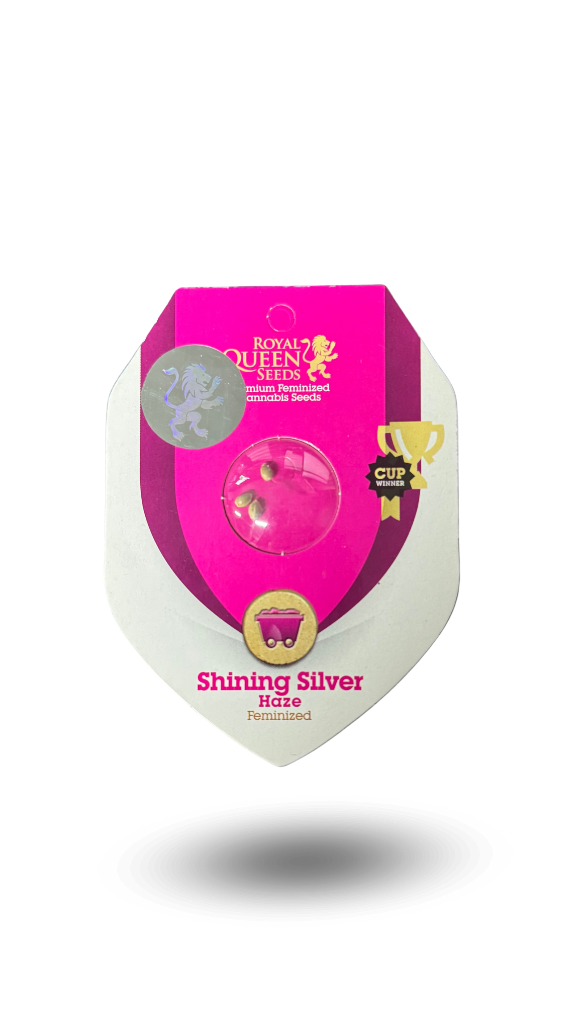 SHINING SILVER HAZE FEM X3 ROYAL QUEEN SEEDS-2