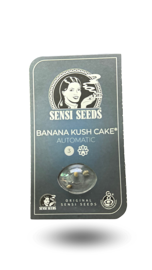 BANANA KUSH CAKE AUTO X3 SENSI SEEDS