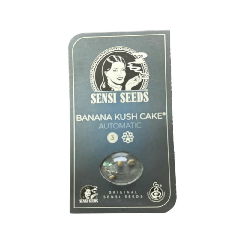 BANANA KUSH CAKE AUTO X3 - SENSI SEEDS-2