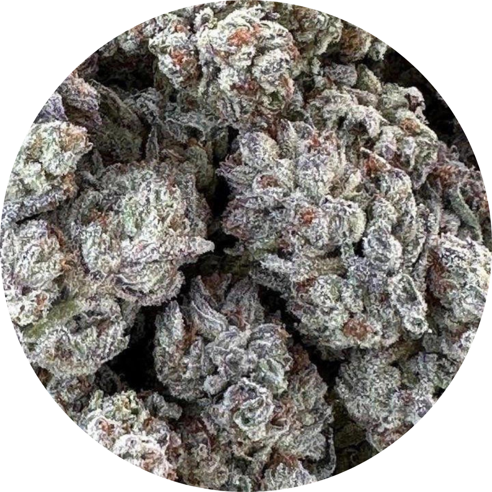 DOUBLE FIRE HEADBAND FEM X3 - HUMBOLDT SEED ORGANIZATION-1