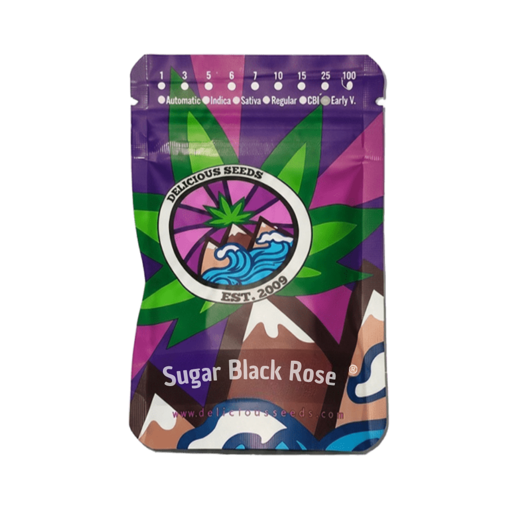 SUGAR BLACK ROSE FEM X10+4 - DELICIOUS SEEDS