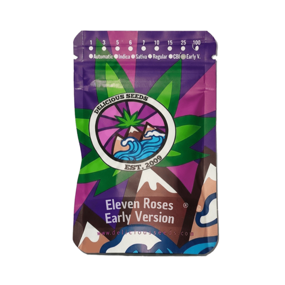 ELEVEN ROSES EARLY VERSION (FAST) X3 - DELICIOUS SEEDS