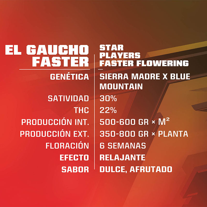EL GAUCHO FASTER X12 BSF SEEDS-2