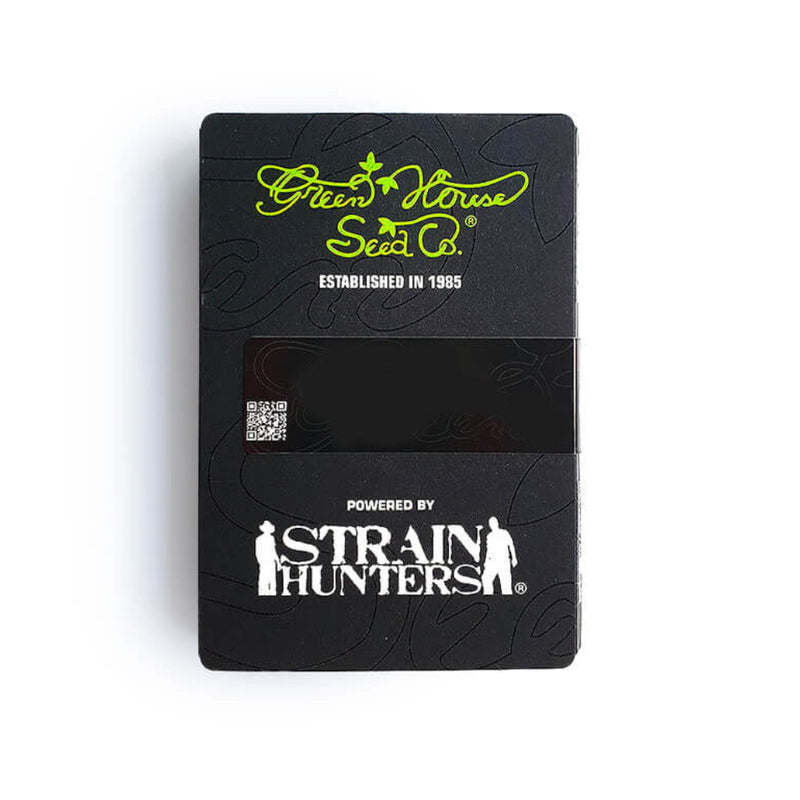 KINGS KUSH AUTO X1 - GREEN HOUSE SEED-2