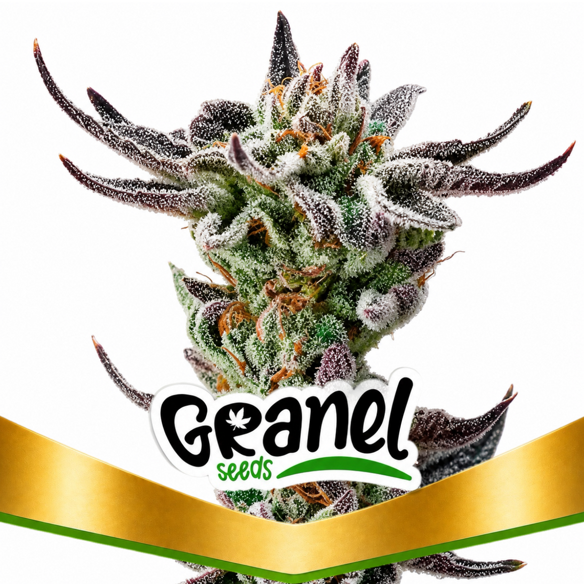 GORILLA GLUE FAST - GRANELSEEDS