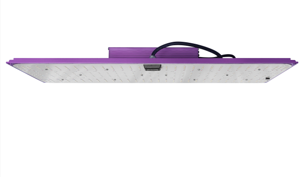 LED QUANTUM BOARD 240W DIMEABLE FULL SPECTRUM GROWERS TECHNOLOGY-10