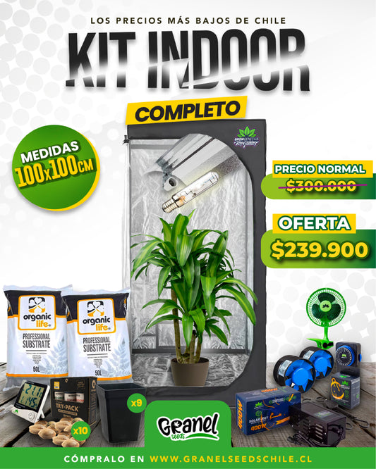 KIT INDOOR 100x100