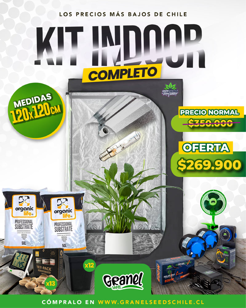 KIT INDOOR 120x120-1