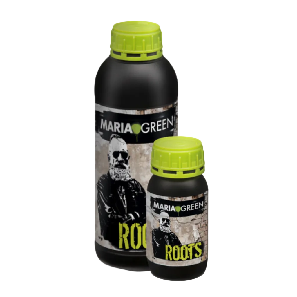 ROOTS 5L - MARIA GREEN