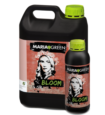 BLOOM 1L - MARIA GREEN