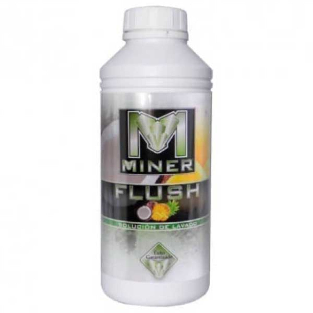 FLUSH COCO Y PIÑA 1L - MINER-1