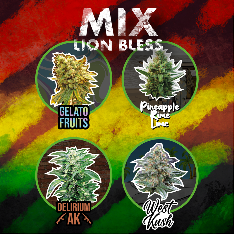 MIX LION BLESS AUTO X14 DELIRIUM SEEDS-2
