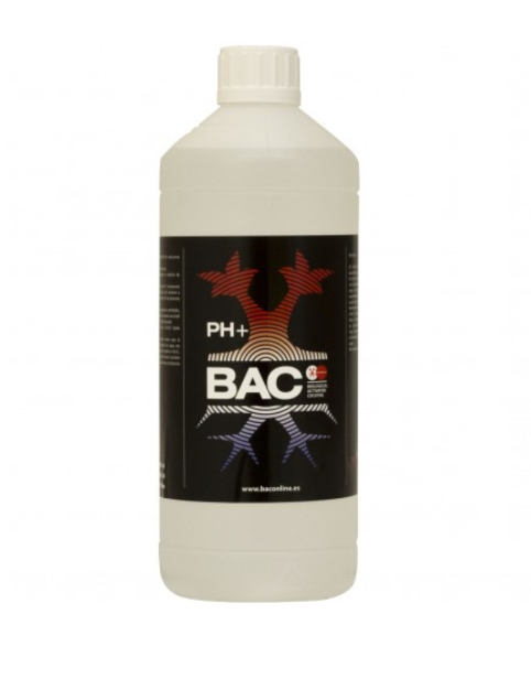 PH+ BAC 1LT-1