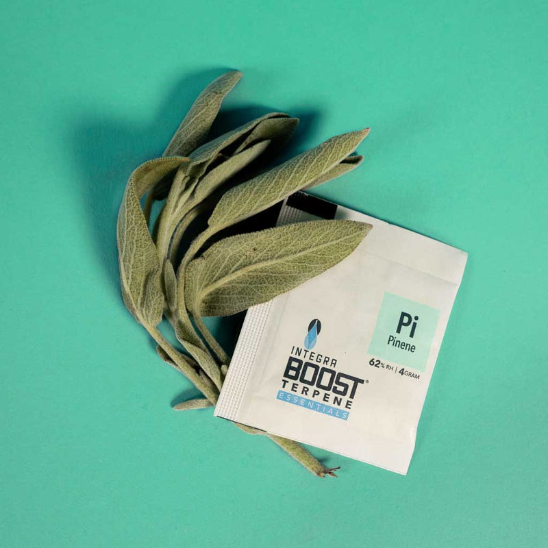 REGULADOR DE HUMEDAD CON TERPENO PINENE 4G 62% INTEGRA BOOST-2