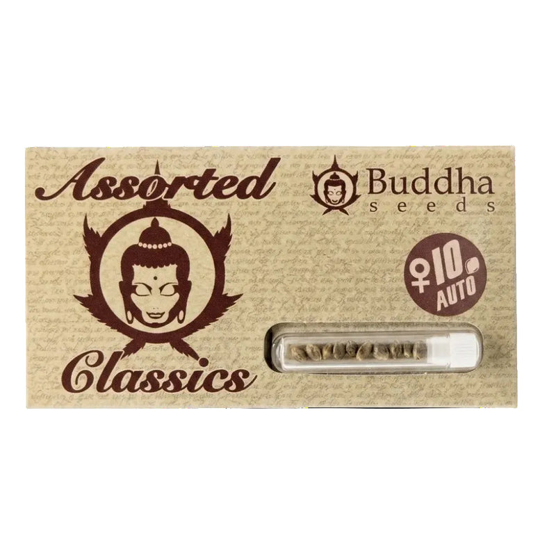BUDDHA ASSORTED AUTO CLASSICS X10 - BUDDHA SEEDS-5