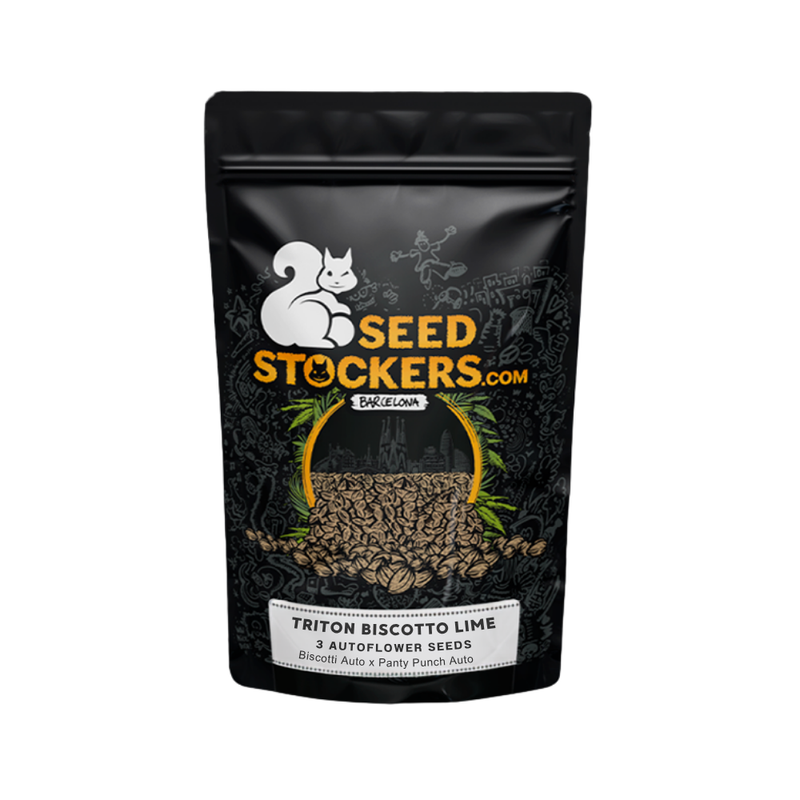 TRITON BISCOTTO LIME AUTO X3 - SEEDSTOCKERS-2