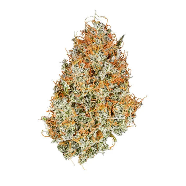AMNESIA HAZE AUTO X10 ROYAL QUEEN SEEDS-4