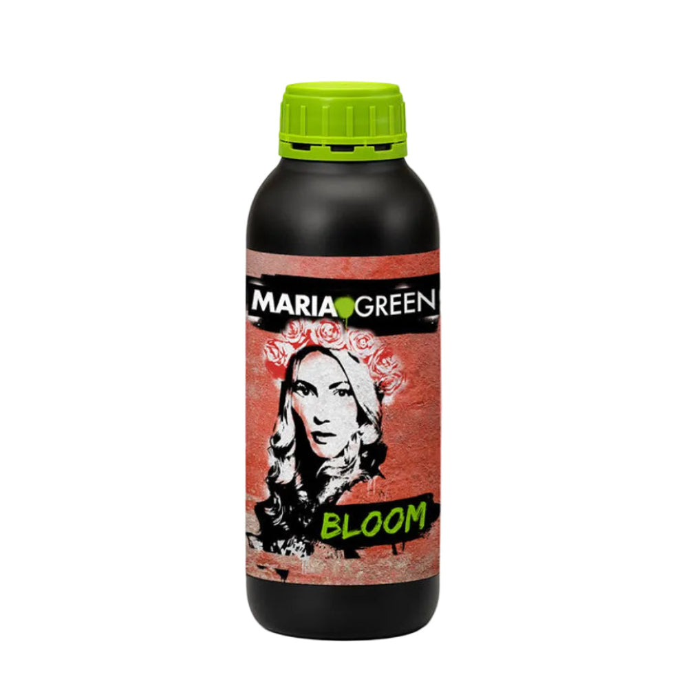 BLOOM 1LT - MARIA GREEN