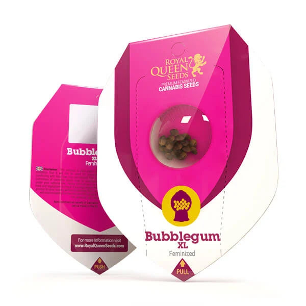 BUBBLEGUM XL FEM X10 ROYAL QUEEN SEEDS-2