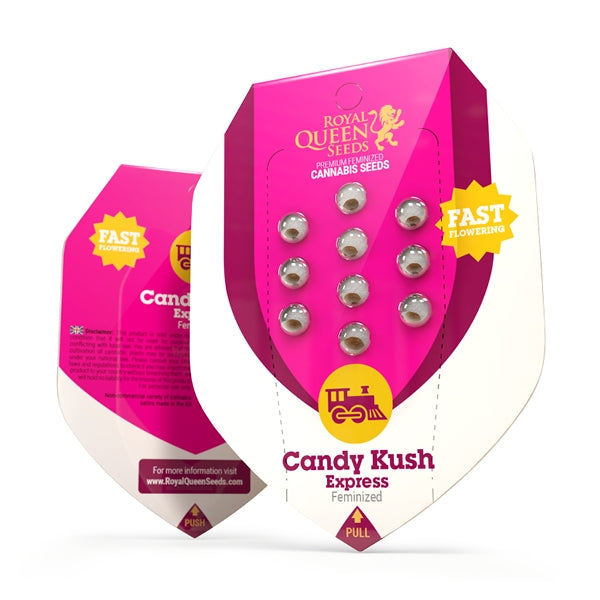 CANDY KUSH EXPRESS FAST X10 ROYAL QUEEN SEEDS-2