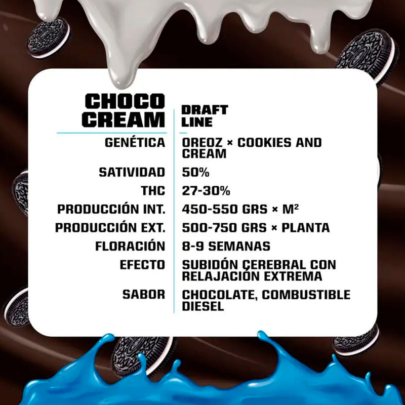 CHOCO CREAM FEM x12 BSF SEEDS-2