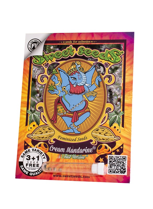 CREAM MANDARINE F1 X100 SWEET SEEDS