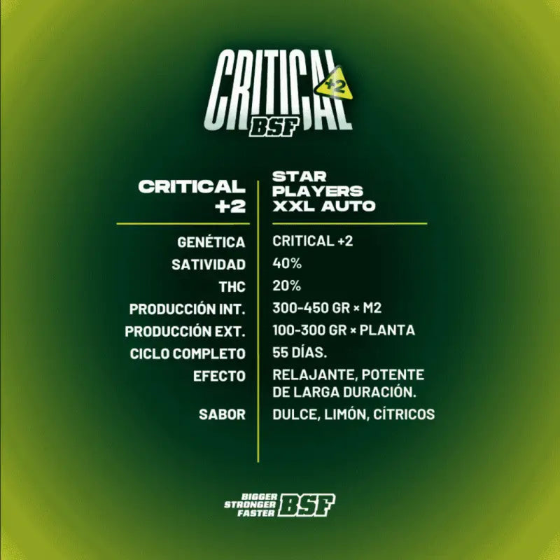 CRITICAL+2 XXL AUTO X100 - BSF SEEDS-3