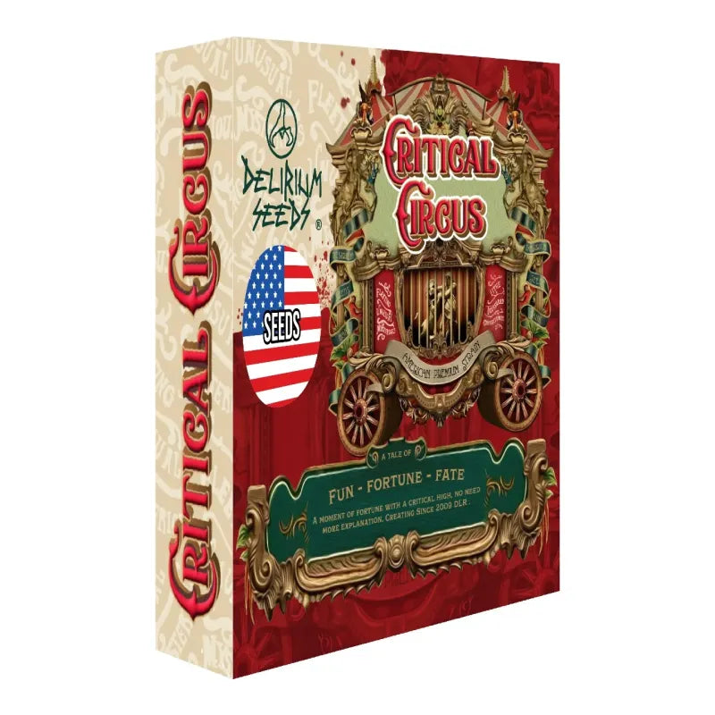 CRITICAL CIRCUS FAST X4 DELIRIUM SEEDS