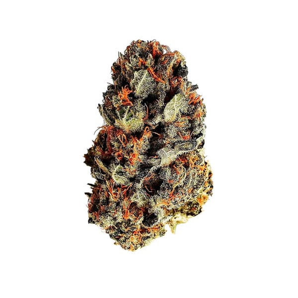 DANCE WORLD CBD FEM X1 ROYAL QUEEN SEEDS-3