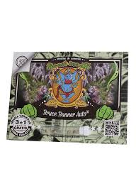 BRUCE BANNER AUTO X100 SWEET SEEDS