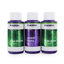 STARTER SET ORGANICO PLAGRON