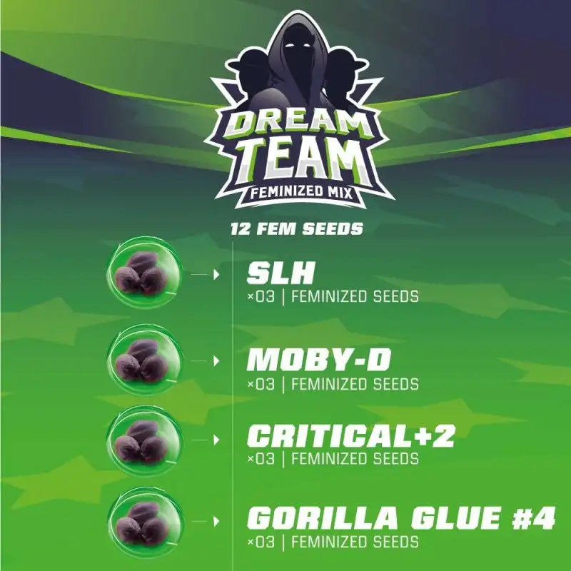 DREAM TEAM FEM MIX X12 BSF SEEDS-3