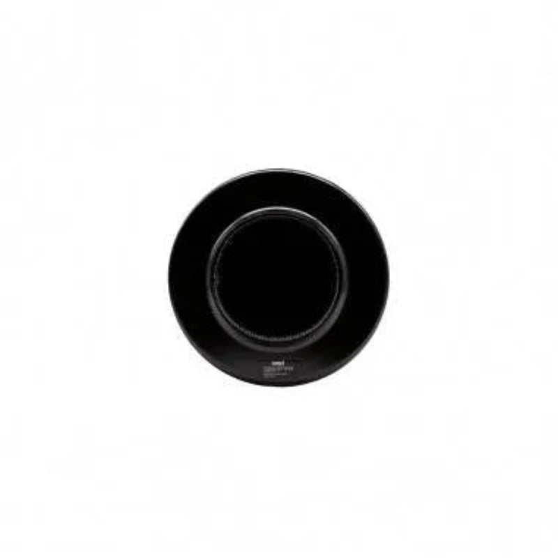 FILTRO DE CARBON ACTIVADO 100X300 - KASVI-3