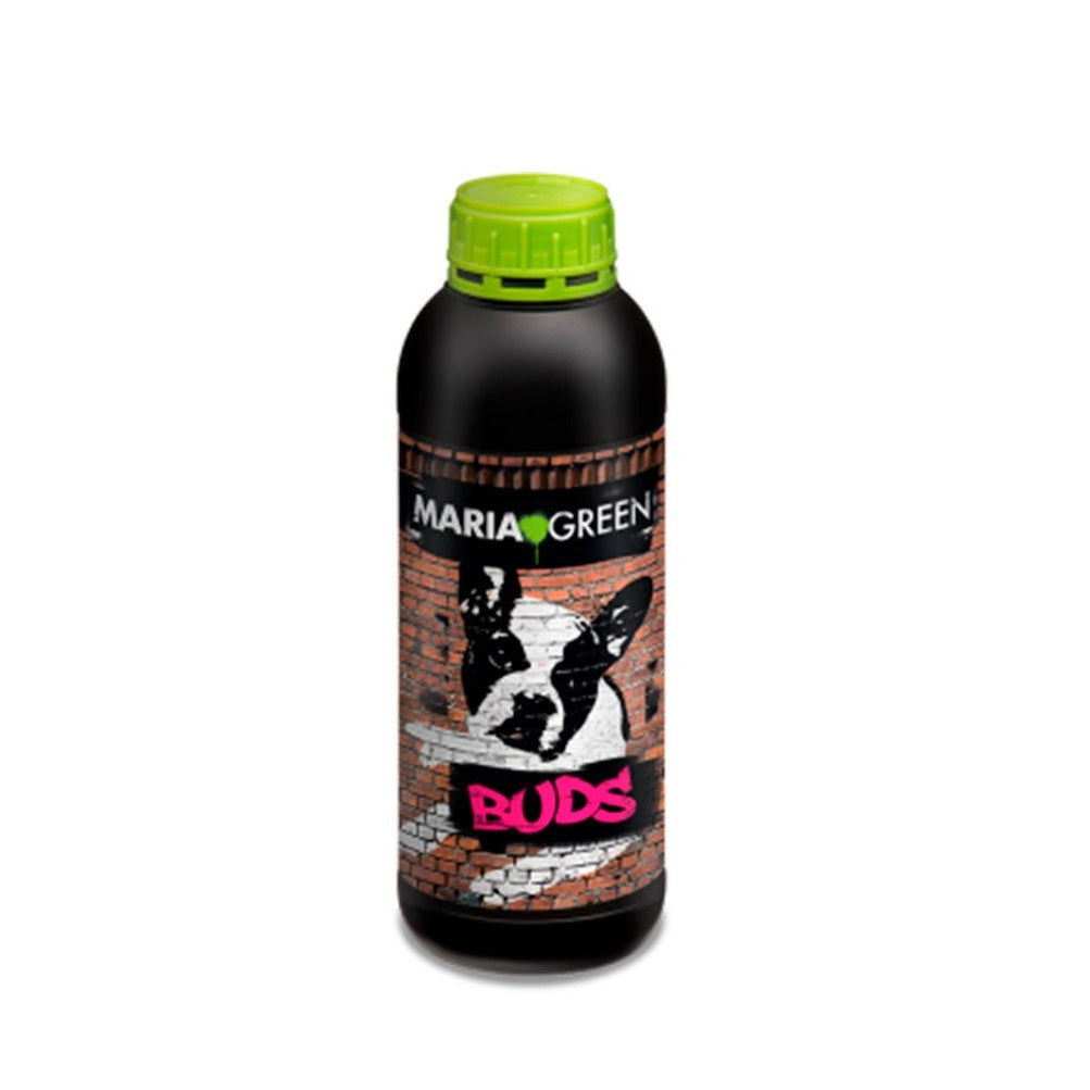 BUDS 1L - MARIA GREEN