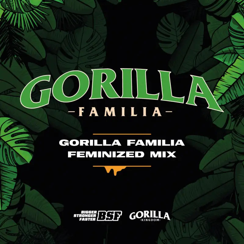 GORILLA FAMILIA FEM MIX X 12 BSF SEEDS-6