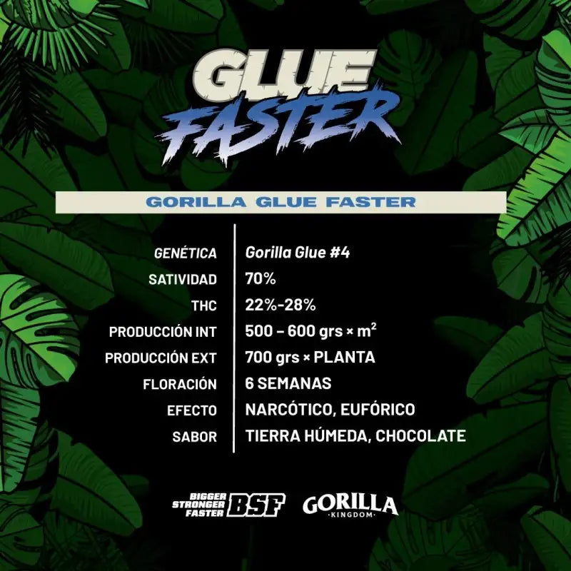 GORILLA GLUE FASTER X12 BSF SEEDS-3