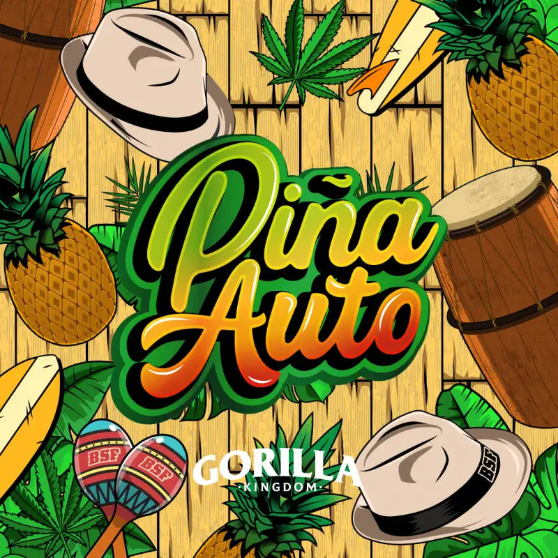 GORILLA PIÑA AUTO X12 BSF SEEDS-5