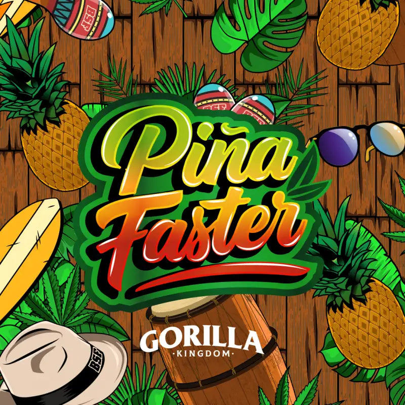 GORILLA PIÑA FASTER X12 BSF SEEDS-3