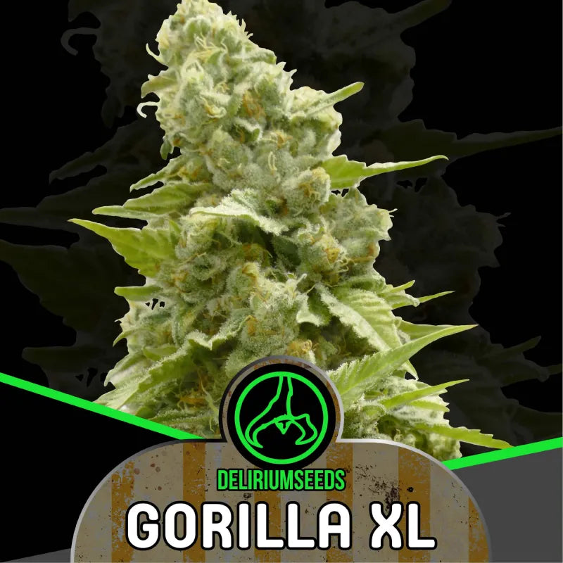 MIX GORILLA XL FAST X8 DELIRIUM SEEDS