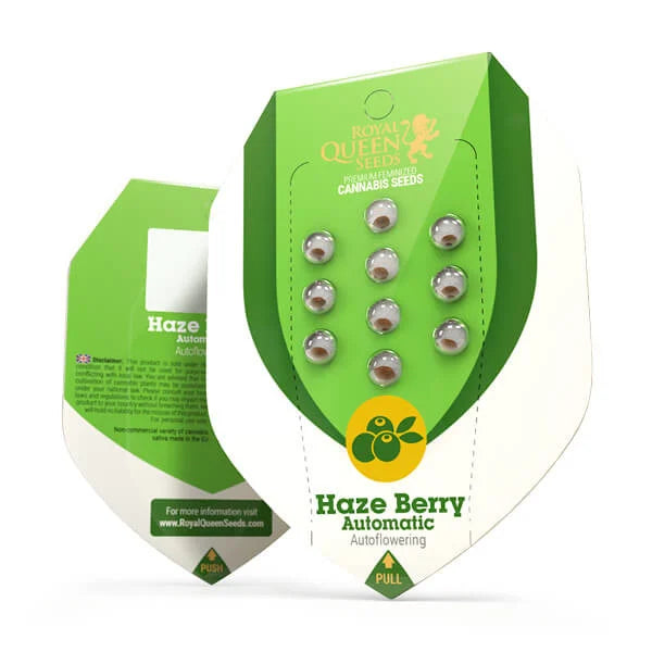 HAZE BERRY AUTO X10 ROYAL QUEEN SEEDS-2