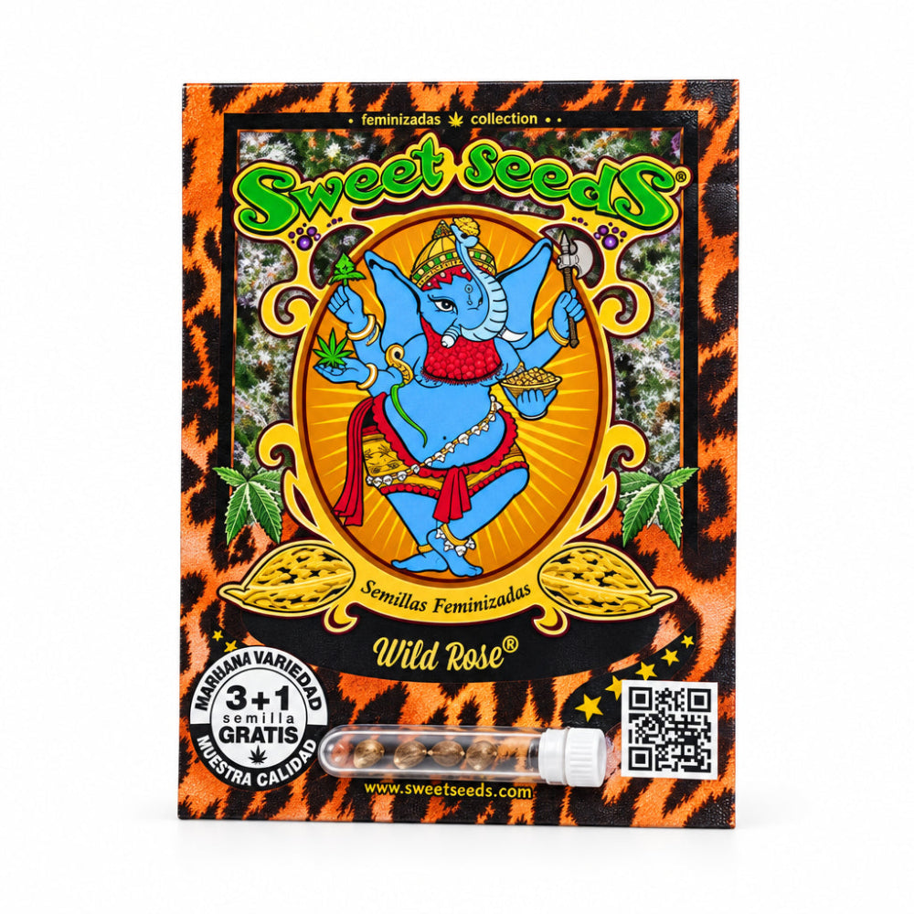 WILD ROSE FEM X3+1 - SWEET SEEDS-2