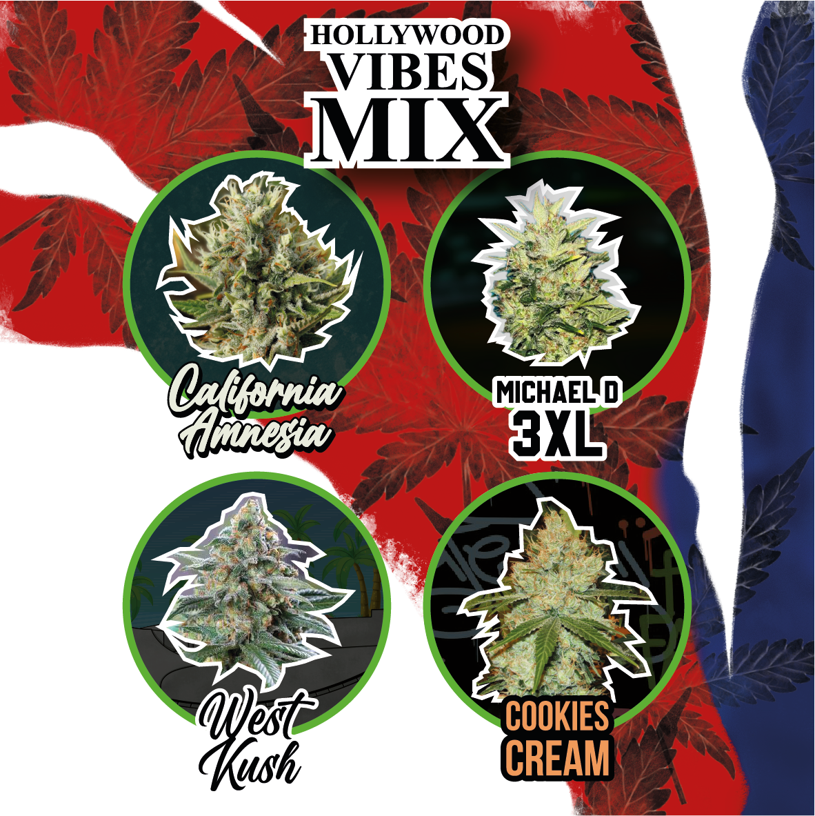 MIX HOLLYWOOD VIBE AUTO X14 DELIRIUM SEEDS