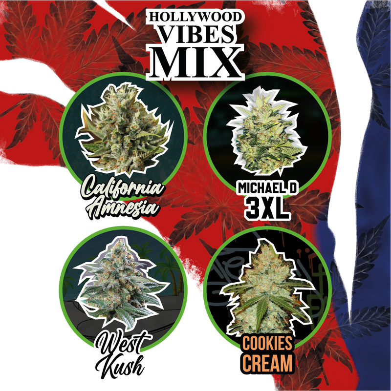 MIX HOLLYWOOD VIBE AUTO X14 DELIRIUM SEEDS-2