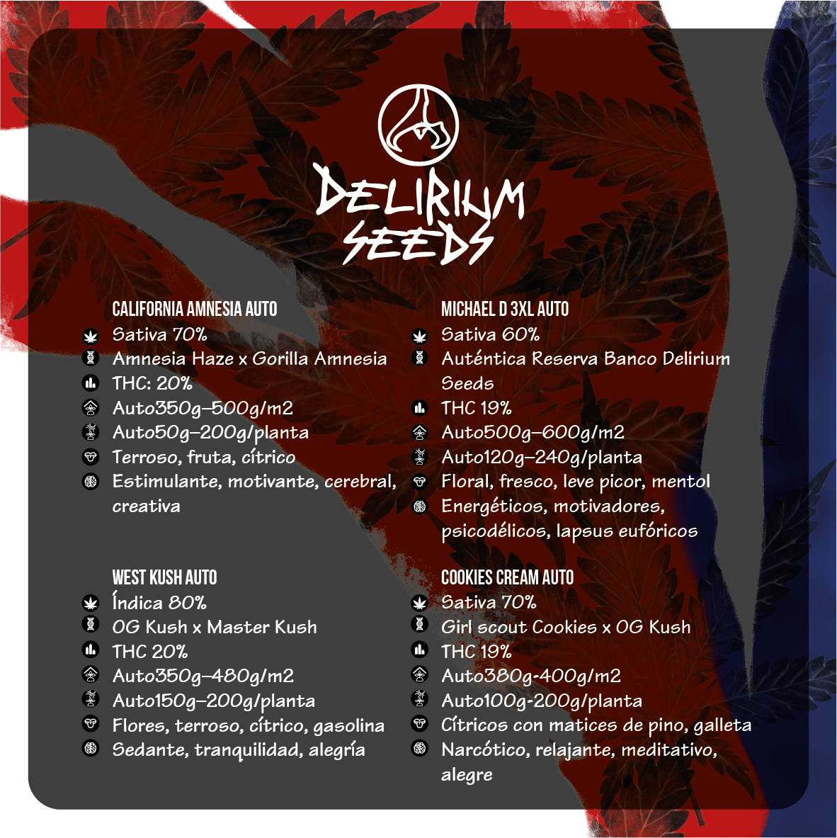 MIX HOLLYWOOD VIBE AUTO X14 DELIRIUM SEEDS-3