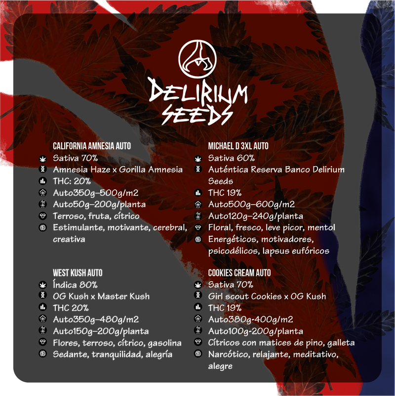MIX HOLLYWOOD VIBE AUTO X14 DELIRIUM SEEDS-3