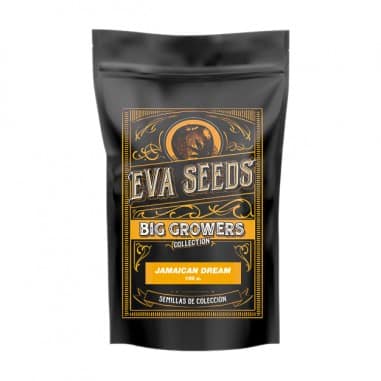 JAMAICAN DREAM X100 FEM EVA SEEDS-1