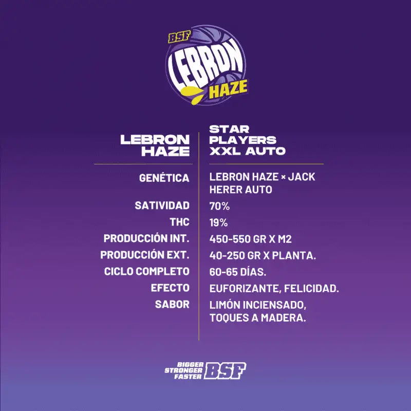 LEBRON HAZE XXL AUTO X12 BSF SEEDS