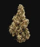 MIMOSA AUTO X3 ROYAL QUEEN SEEDS-5